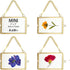 JUXYES Mini Brass Wall Hanging Photo Frame Set of 4, Double Glass Floating Frame for Artwork, Picture, Pressed Flower,
