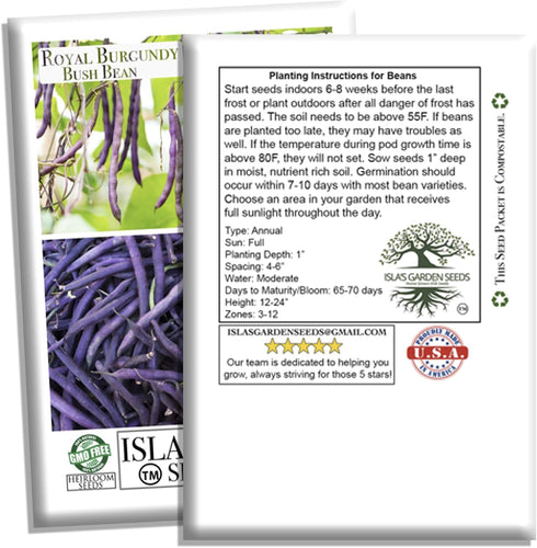 50+ Royal Burgundy Bush Bean Seeds (Phaseolus vulgaris) Non-GMO Heirloom Seeds, Deep Purple Snap Beans for Planting