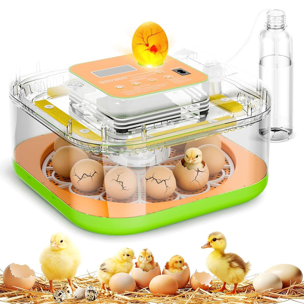 Incubator for Hatching Eggs, Temperature and Humidity Control, Automatic and Adjustable Egg