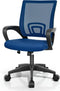 Magshion Ergonomic Office Desk Chair, Mid-Back Mesh Computer Chair, Swivel Chair with
