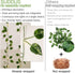 33ft100 suddus Vine with Fairy Lights Battery Operated, LED Pothos String Lights with Remote, Leaf Lights for Bedroom