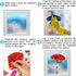 Whaline 6 Sheets Mushroom Window Clings, Watercolor Botanical Design Double-Sided Decals for Home Office
