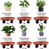 Tulpeed 3 Pack 10 Inch Rolling Plant Stand with Wheels Plant Caddy with Wheels Heavy Duty Plant Dolly Roller Base