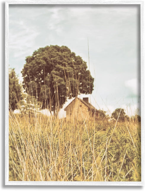 Stupell Industries Countryside Farm Meadow Tall Grass Summer Landscape Photography Wall Art, 11 x 14, Yellow Framed