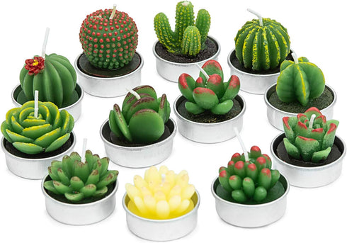 Handmade Succulent Cactus Candles for Birthday Party, Wedding, Spa Home Decoration (12 Packs-2)