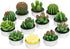 Handmade Succulent Cactus Candles for Birthday Party, Wedding, Spa Home Decoration (12 Packs-2)