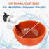 5-Pack) Lil'Clucker Large Automatic Chicken Waterer Cups | Chicken Water Feeder Suitable for Chicks, Duck, Goose