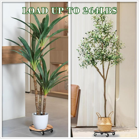 PRAQECZ 2 Pack 12" 264 LB 360 Plant Caddy with Wheels, Rolling Plant Stand Heavy Duty, Iron and Wood Round Plant Dolly