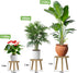 YUZUKYAUY 3 Pack 3 Pack) Plant Stand Indoor Outdoor Mid-Century Modern Plant Stool Wooden Plant Pot Holder Home Decor