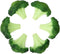 Fake Broccoli Slice Artificial Vegetables Simulation Plastic Lifelike for House Kitchen Party