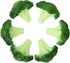 Fake Broccoli Slice Artificial Vegetables Simulation Plastic Lifelike for House Kitchen Party
