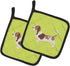Caroline's Treasures BB3802PTHD Basset Hound Checkerboard Green Pair of Pot Holders, 7 1/2 x 7 1/2