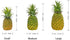 QIRMIZI Artificial Pineapple -Simulated Fruit Decoration, Lifelike Fake Fruit Model, Perfect for Home Decor, Kitchen