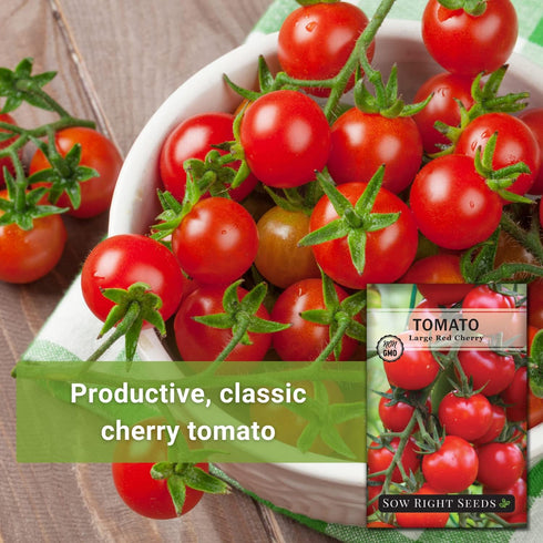 Packet (4) Sow Right Seeds - Large Red Cherry Tomato Seeds for Planting - Non-GMO Heirloom with Instructions to Plant a