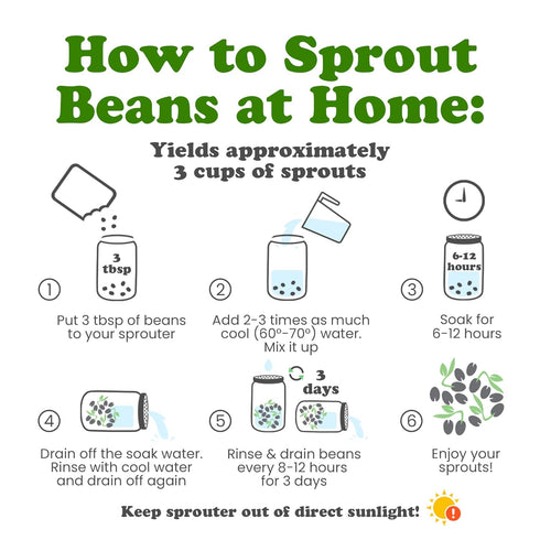 4 Food to Live - Adzuki Beans, Pounds Whole Dried Azuki Beans (Red Mung Beans), Raw, Vegan, Kosher, Sproutable, Bulk.