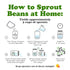 4 Food to Live - Adzuki Beans, Pounds Whole Dried Azuki Beans (Red Mung Beans), Raw, Vegan, Kosher, Sproutable, Bulk.