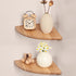 Gieanoo Floating Corner Shelves for Wall Set 2 9inch Solid Oak Rounded