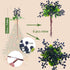 6 Pack Felice Arts Artificial Black Berry Stems Fake Holly Berries Halloween Picks for Xmas Tree Ornaments DIY Wreath