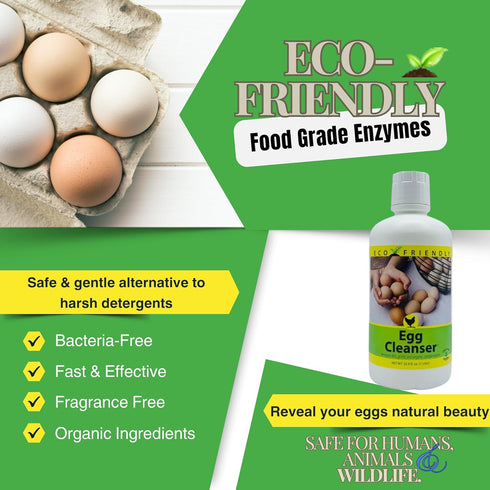Care Free Enzymes 33.9 oz CareFree Enzymes Egg Washer & Egg Cleaner Natural Enzyme Egg Wash for Fresh Farm Eggs, Safe
