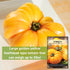 Packet (1) Sow Right Seeds - Yellow Brandywine Tomato Seeds for Planting - Non-GMO Heirloom with Instructions to Plant