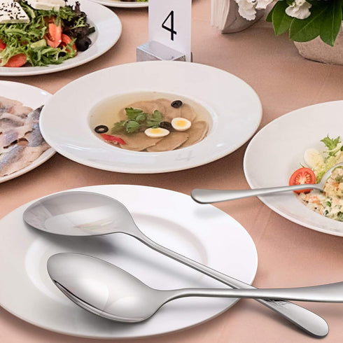 LIANYU 6-Piece Serving Spoon Set, 9.8 Inch Stainless Steel Large Dinner Buffet Catering Spoons, Dishwasher Safe