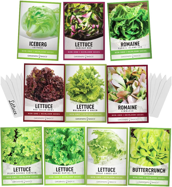 Gardeners Basics, Salad Greens Lettuce Seeds Heirloom Vegetable Seed 23,000 Seeds for