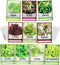 Gardeners Basics, Salad Greens Lettuce Seeds Heirloom Vegetable Seed 23,000 Seeds for