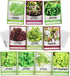 Gardeners Basics, Salad Greens Lettuce Seeds Heirloom Vegetable Seed 23,000 Seeds for