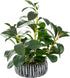 AlphaAcc Artificial Plants Decor Greenery Fake Succulents Indoor Potted Fake Plant with