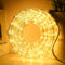 33ft LED Rope Lights, 110V 2 Wire Connectable Christmas Rope Lights Outdoor,240