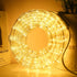 33ft LED Rope Lights, 110V 2 Wire Connectable Christmas Rope Lights Outdoor,240