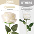 Tifuly White Roses Artificial Flowers, 12 pcs Realistic Single Long Stem Fake Silk Roses Bouquet for Home Wedding Decor