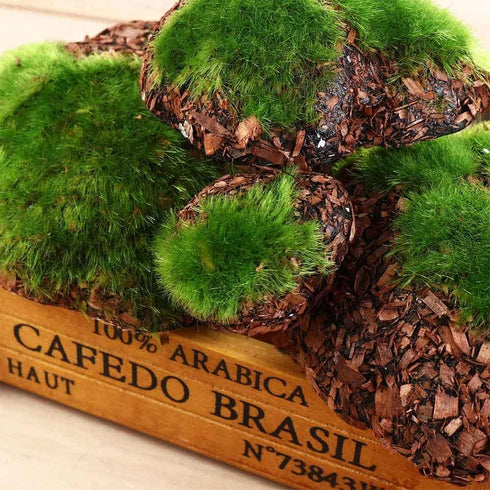 6Pcs Foam Moss Green Hay Stone: DIY Family Garden Decoration for Miniature Landscape