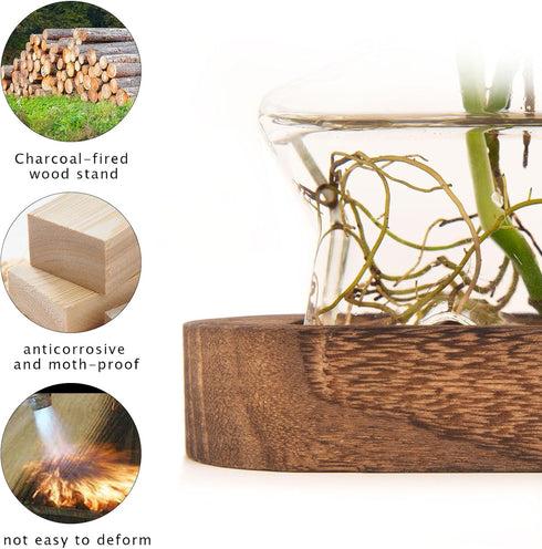 Lovers,3 XXXFLOWER Plant Propagation Station with Wooden Stand,Air Plant Terrarium Starter Kits Star Vases for Flowers