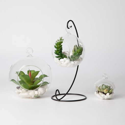 WGV Hanging Terrarium Globe, Clear Glass Vase Orb, 3" Width, 4" Height, DIY Air Succulent Planter, 6 Pieces Bulk