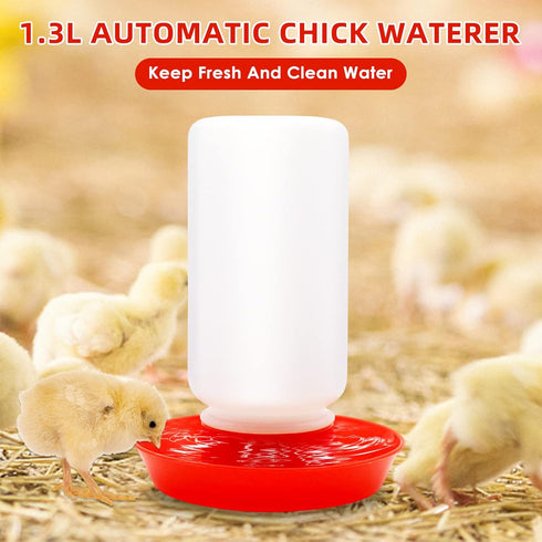 75W Chick Feeder and Waterer Kit with Heat Lamp, Chick Perch, Flip Top Poultry Feeder, Baby Chick Starter Kit for Chick