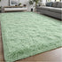 Fluffy Fuzzy Sage-Green Rugs for Bedroom - 4x6 Feet Soft Non Slip Plush Area Rug for Living Room and Kids Room