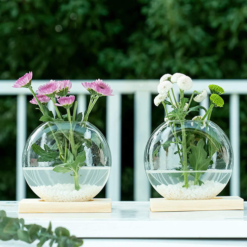 2-Pack, Kingbuy Round Glass Desktop Planter with Wooden Stand - Propagation Vase for Hydroponic Plants, Spider Plants