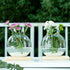2-Pack, Kingbuy Round Glass Desktop Planter with Wooden Stand - Propagation Vase for Hydroponic Plants, Spider Plants
