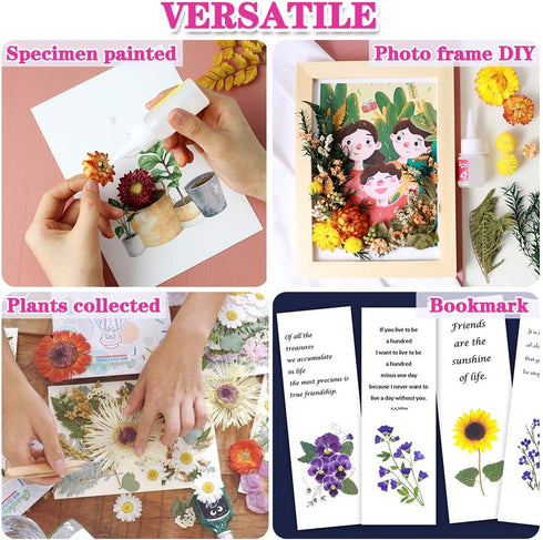 Vignee Real Dried Pressed Leaf Flowers, Colorful Daisies for Craft Resin Jewelry Making Art Craft DIY (Blue & Purple)