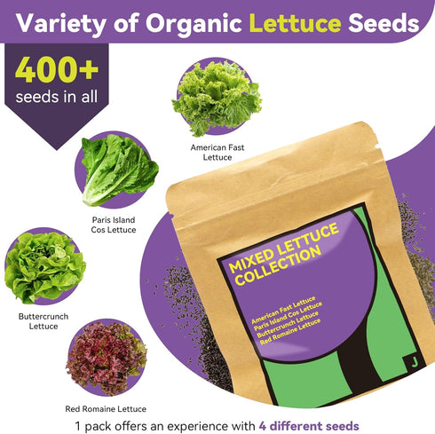 400+ Seeds(7-Pods) LYKOCLEAN Red Romaine Lettuce Seed Pods for AeroGarden, Ahopegarden, iDOO Hydroponics Growing System