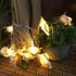 Starryfill Ocean Real Conch 10 LED String Lights, 9.0Ft Waterproof Battery Operated Warm White with Timer