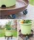 FLRISNTIG 12" 200lbs 2 Pack, Heavy Duty Plant Dolly with Wheels, Metal Rolling Plant Stand with Casters, Round Wheeled