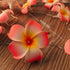 2 Pack 20 Summer, AceList Plumeria Flower String Lights, LEDs Each, Battery Operated, Hawaiian Foam Frangipani Garland