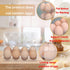 150 Pack 8 Bulk Egg Cartons, Clear Plastic Chicken Egg Holders, Egg Tray Carton Holder for Home & Kitchen, Farm