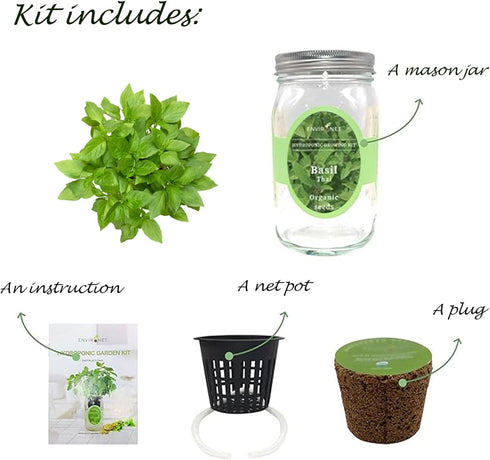 Hydroponic Herb Growing Kit, Self-Watering Mason Jar Herb Garden Starter Kit Indoor, Windowsill Herbs Garden, Grow Your