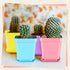 240 Pack 3 Inch Zubebe Plastic Seedling Pots Flower Pots Small Square Plastic Plant Pots Succulent Planter Nursery Pots