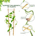 2FT 3 Pack, S2 24 Inch, Bamboo Trellis Natural Bamboo Plant Ladder Stakes Fan-Shaped Plant Support Stand for Orchid