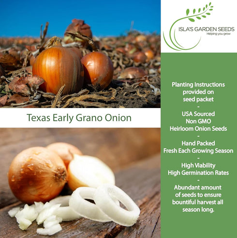 300+ Texas Early Grano Onion Seeds (Allium cepa) Non-GMO Heirloom Seeds by Islas Garden Seeds, Sweet Short-Day Onion