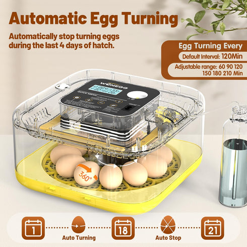 12 Incubator for Hatching Eggs, Eggs Incubator with Automatic Egg Turning, Temperature & Humidity Control, LED Egg